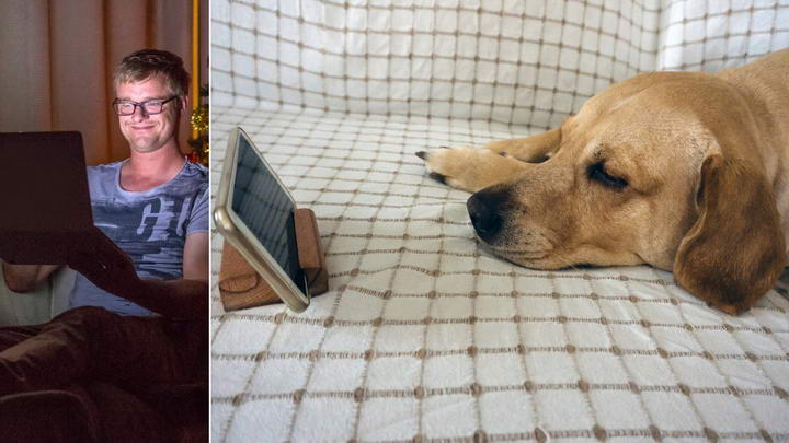 当你跟狗狗视频通话的时候，狗狗能认出屏幕中的你么？