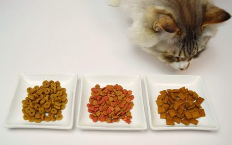 猫粮选购的时候不要选择分装的小包装猫粮