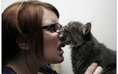 猫咪咬人怎么办？如何纠正咬人的宠物猫【幼猫篇】