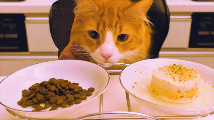 猫咪吃相太差如何纠正？