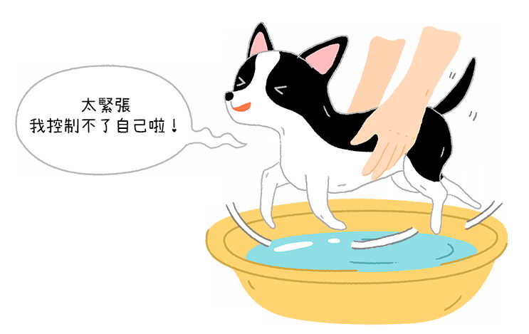 为什么抱起狗狗洗澡的时候，它会在空中做出游泳的动作