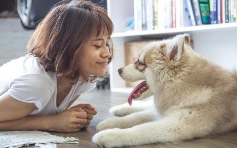 为什么每次回家都能够受到狗狗的热烈欢迎？