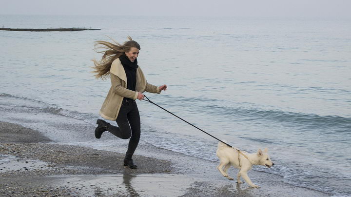 如何训练你的狗狗和自己一起跑步