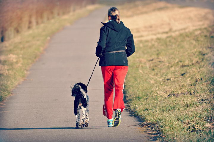 如何训练你的狗狗和自己一起跑步