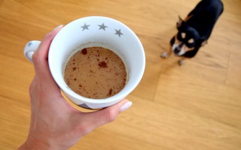 狗狗能不能喝茶或咖啡？宠物狗可以喝咖啡和茶叶么？