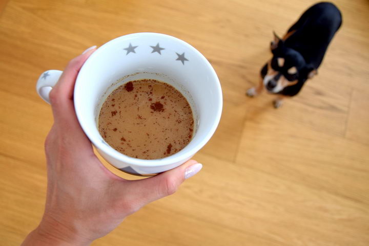 狗狗能不能喝茶或咖啡？宠物狗可以喝咖啡和茶叶么？