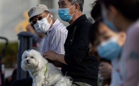 新型冠状病毒肺炎会通过宠物传染给人么？
